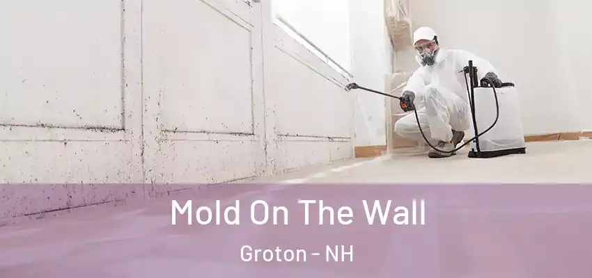  Mold On The Wall Groton - NH