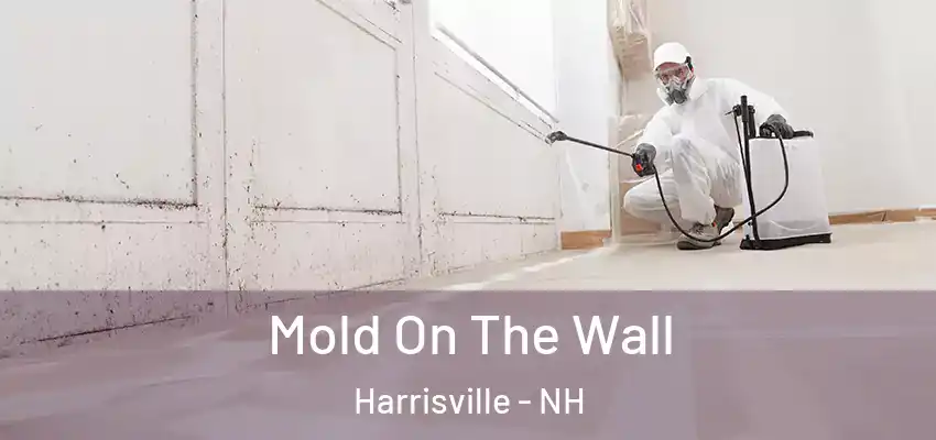  Mold On The Wall Harrisville - NH