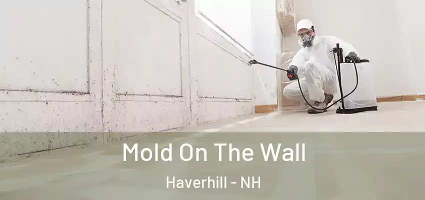  Mold On The Wall Haverhill - NH