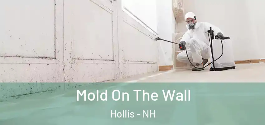  Mold On The Wall Hollis - NH
