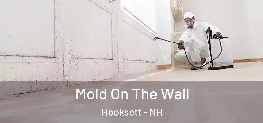  Mold On The Wall Hooksett - NH