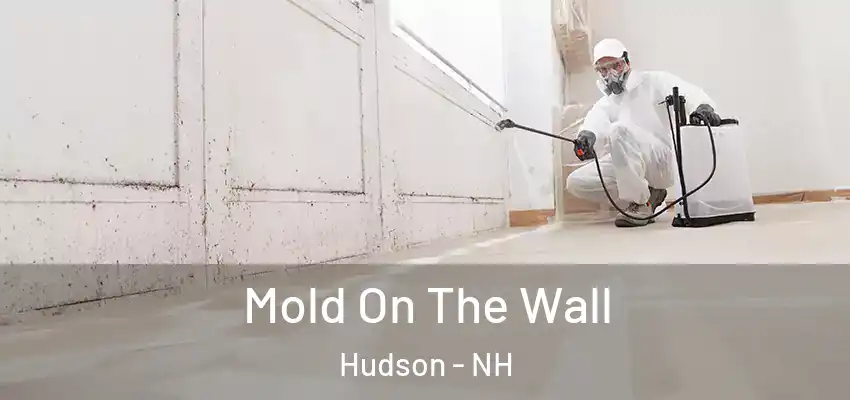  Mold On The Wall Hudson - NH