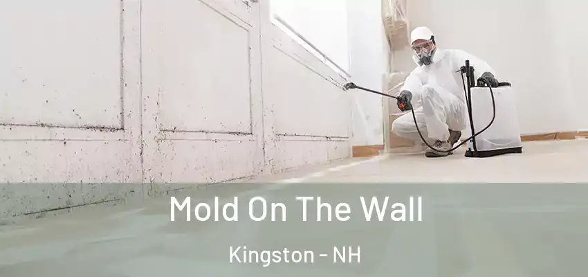  Mold On The Wall Kingston - NH