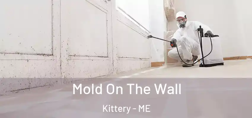 Mold On The Wall Kittery - ME