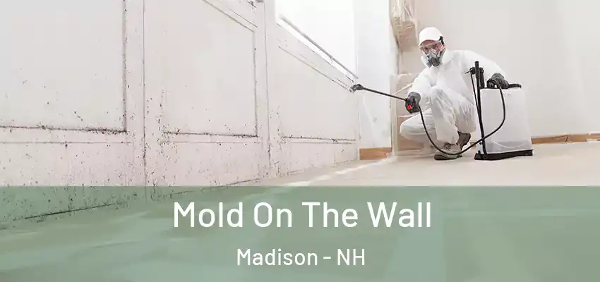  Mold On The Wall Madison - NH