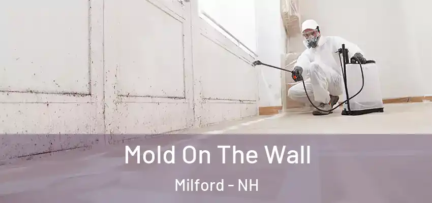  Mold On The Wall Milford - NH