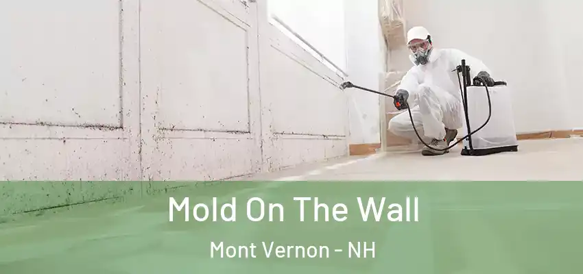  Mold On The Wall Mont Vernon - NH