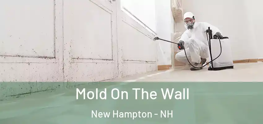 Mold On The Wall New Hampton - NH