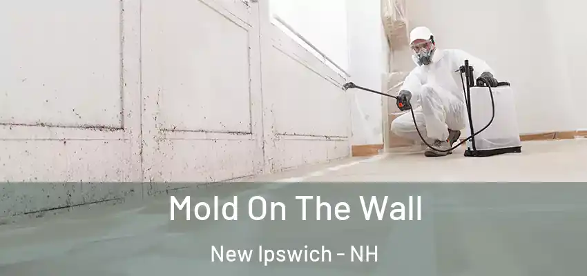  Mold On The Wall New Ipswich - NH