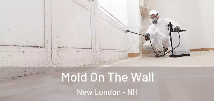 Mold On The Wall New London - NH