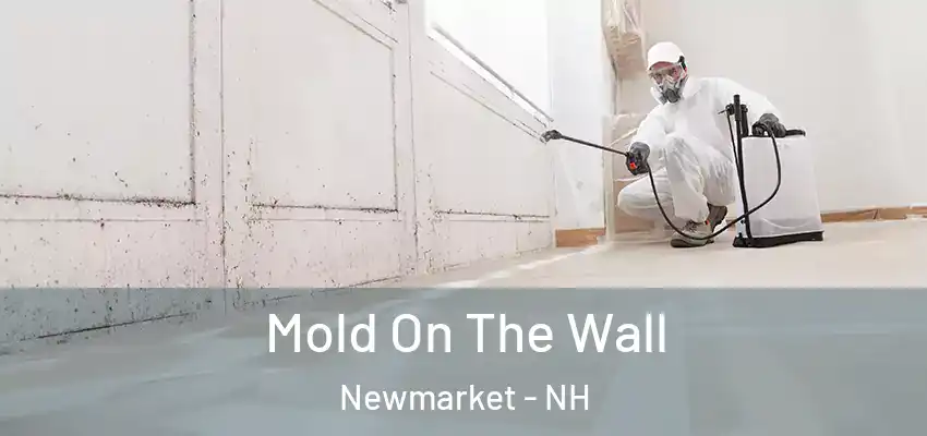  Mold On The Wall Newmarket - NH