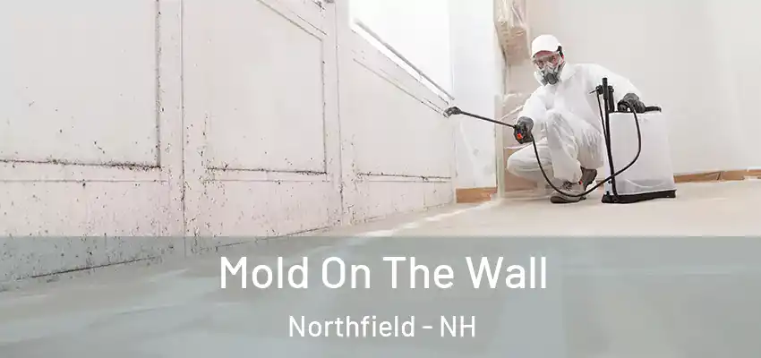  Mold On The Wall Northfield - NH