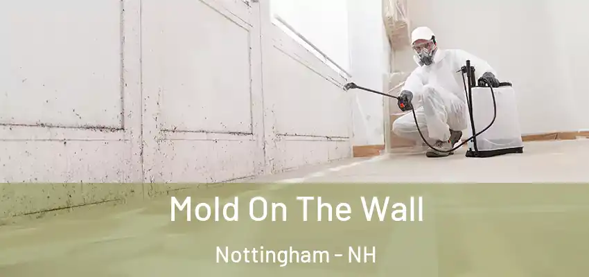  Mold On The Wall Nottingham - NH