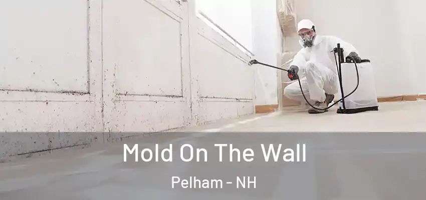  Mold On The Wall Pelham - NH