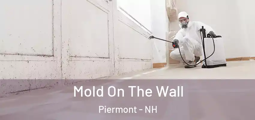  Mold On The Wall Piermont - NH