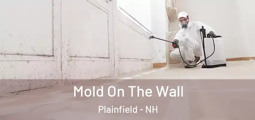  Mold On The Wall Plainfield - NH