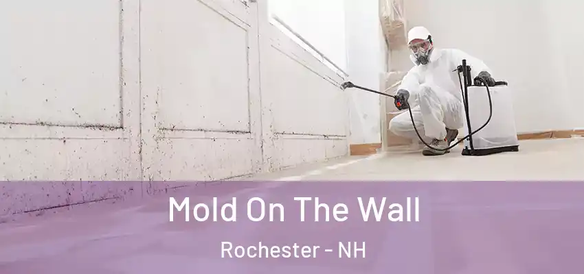  Mold On The Wall Rochester - NH