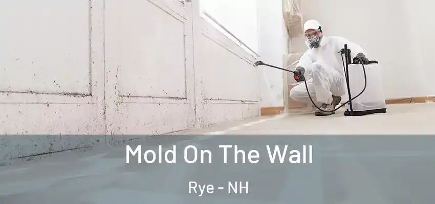  Mold On The Wall Rye - NH