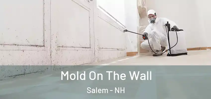  Mold On The Wall Salem - NH