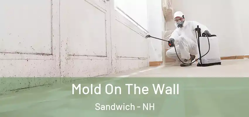  Mold On The Wall Sandwich - NH