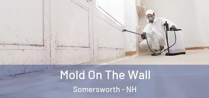  Mold On The Wall Somersworth - NH