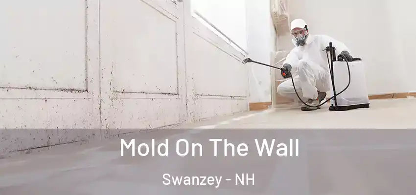  Mold On The Wall Swanzey - NH