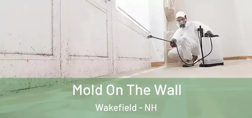  Mold On The Wall Wakefield - NH