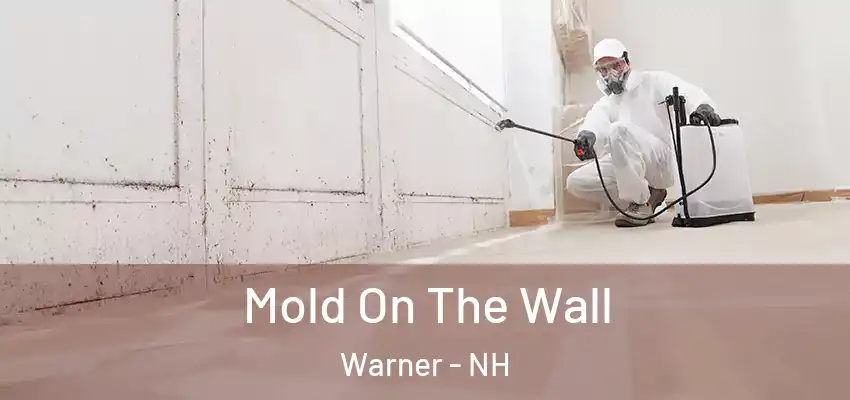  Mold On The Wall Warner - NH