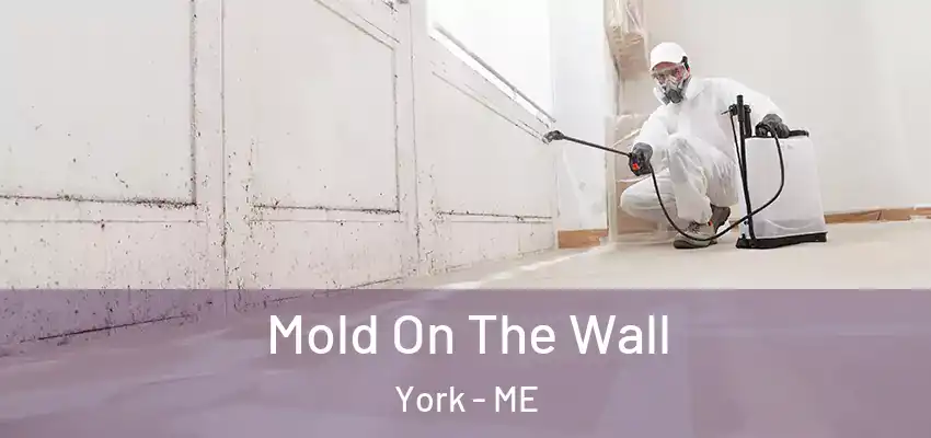 Mold On The Wall York - ME