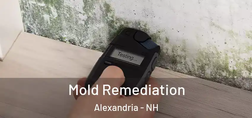  Mold Remediation Alexandria - NH
