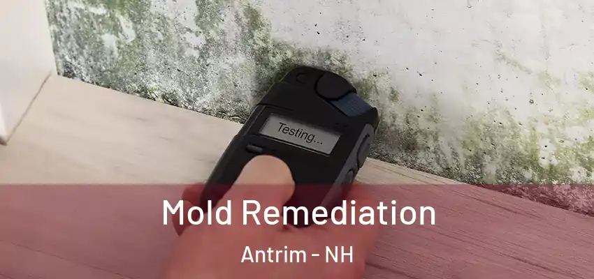  Mold Remediation Antrim - NH