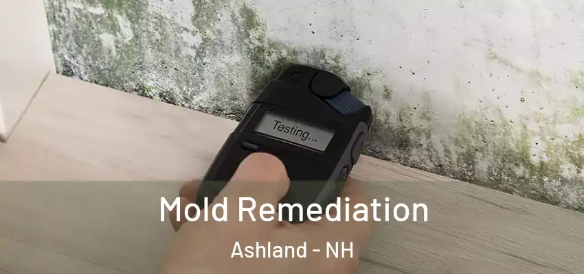  Mold Remediation Ashland - NH