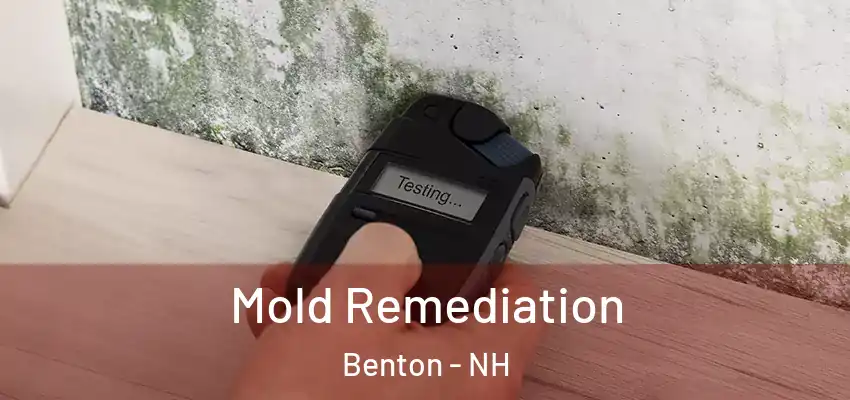  Mold Remediation Benton - NH