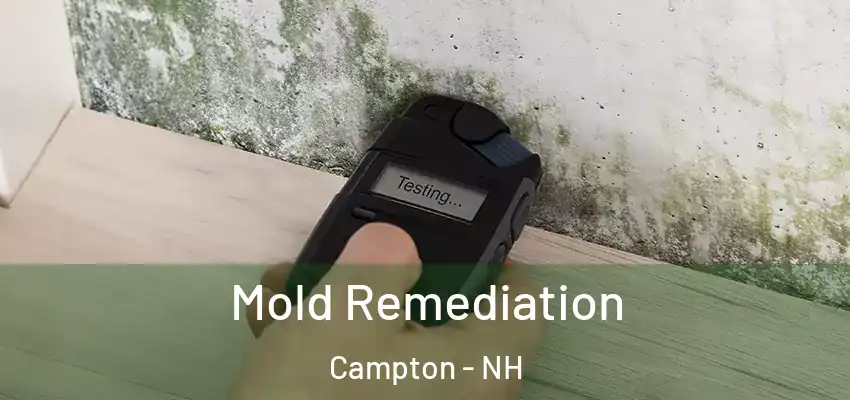  Mold Remediation Campton - NH