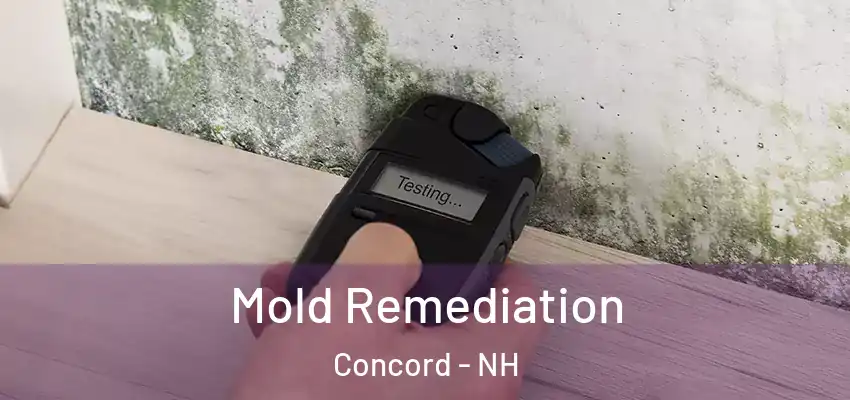  Mold Remediation Concord - NH