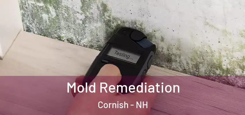  Mold Remediation Cornish - NH