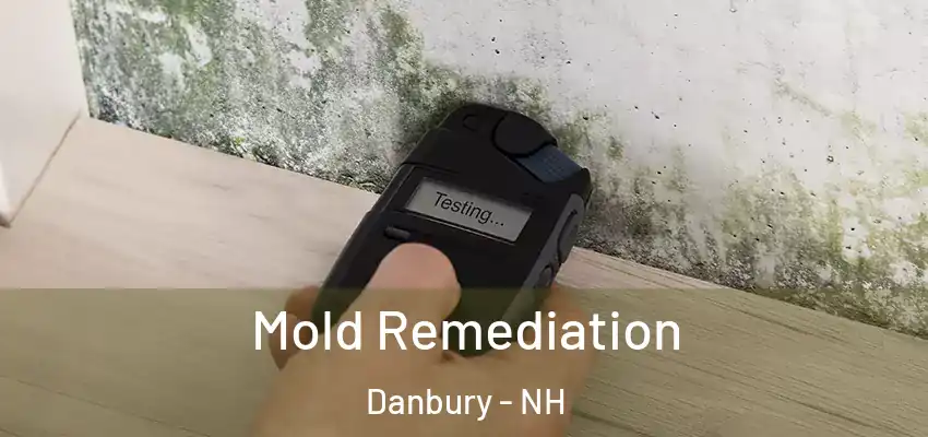  Mold Remediation Danbury - NH
