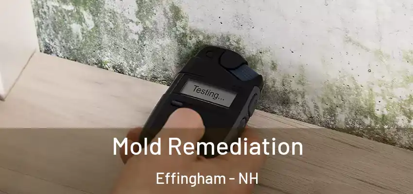  Mold Remediation Effingham - NH