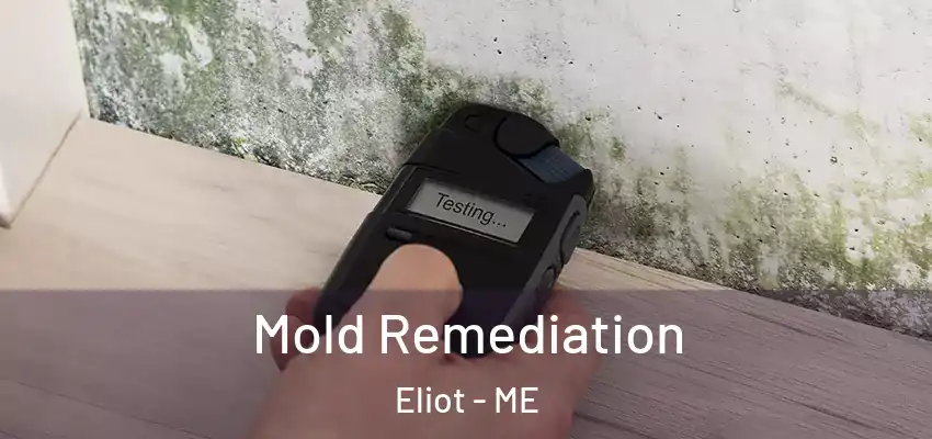 Mold Remediation Eliot - ME