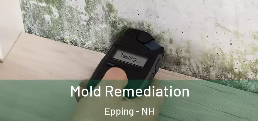 Mold Remediation Epping - NH