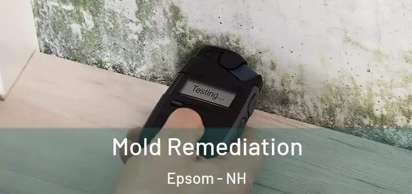  Mold Remediation Epsom - NH