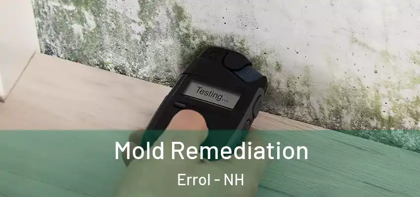  Mold Remediation Errol - NH