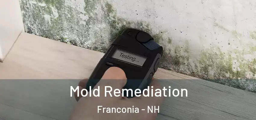  Mold Remediation Franconia - NH