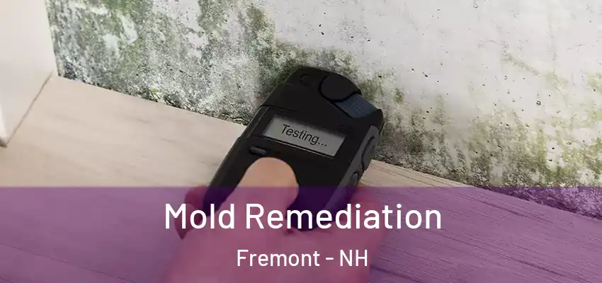  Mold Remediation Fremont - NH