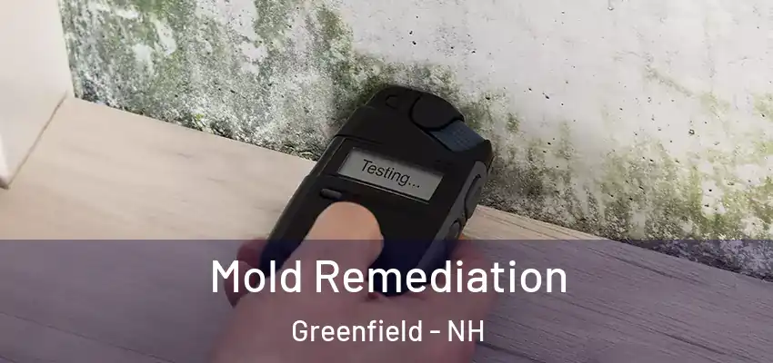  Mold Remediation Greenfield - NH