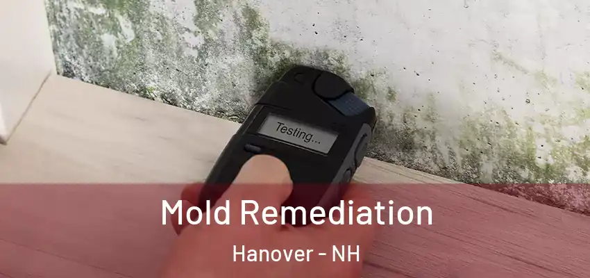  Mold Remediation Hanover - NH