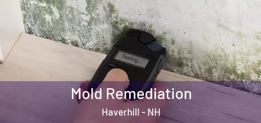  Mold Remediation Haverhill - NH