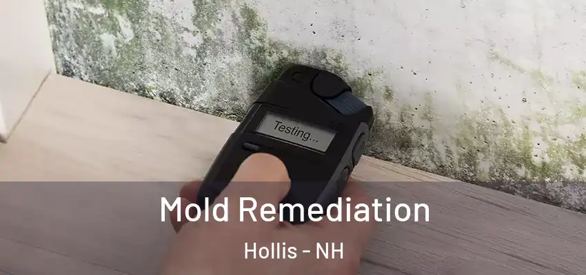  Mold Remediation Hollis - NH