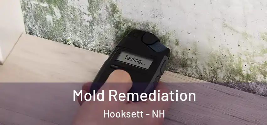  Mold Remediation Hooksett - NH