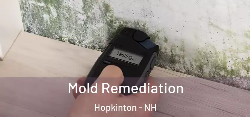  Mold Remediation Hopkinton - NH